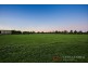 5 Plymtree Court, Narre Warren South VIC 3805