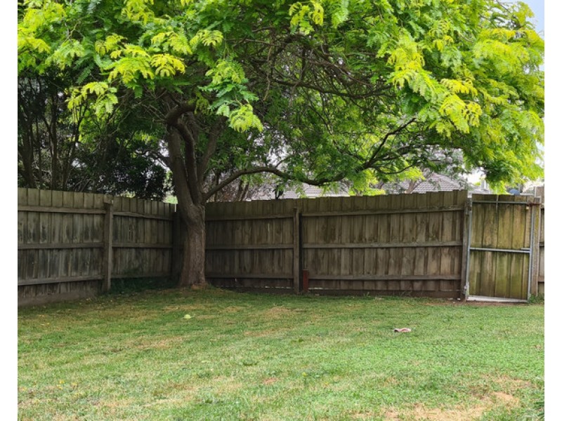 139 Bemersyde Drive, Berwick VIC 3806