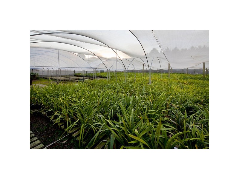 328 Pound Road, Narre Warren South VIC 3805