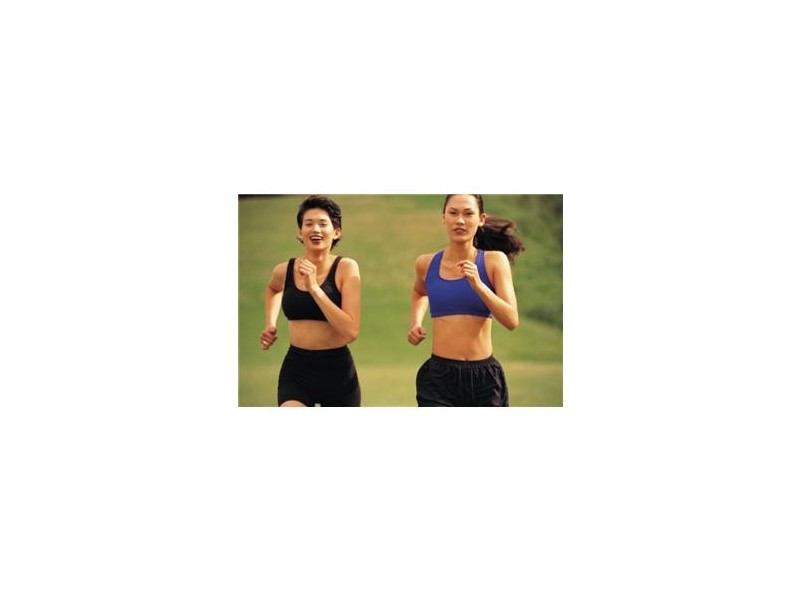 LOT 605 Appaloosa Grove, Clyde North VIC 3978