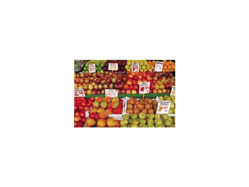 LOT 618 Appaloosa Grove, Clyde North VIC 3978