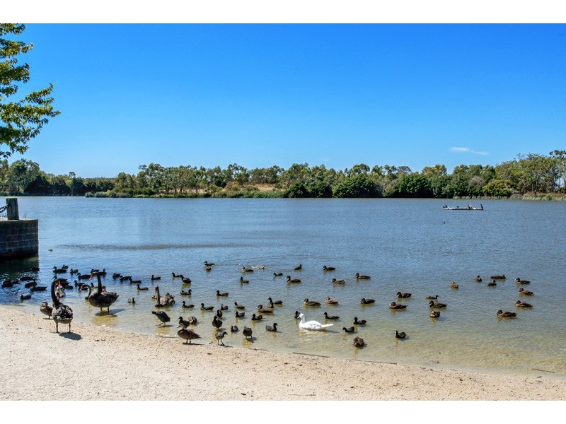 46 Berwick Springs Promenade, Narre Warren South VIC 3805