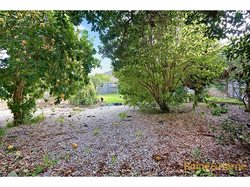 9 Prospect Street, Pascoe Vale VIC 3044