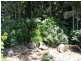 28 CAREY PARADE, Tamborine Mountain QLD 4272