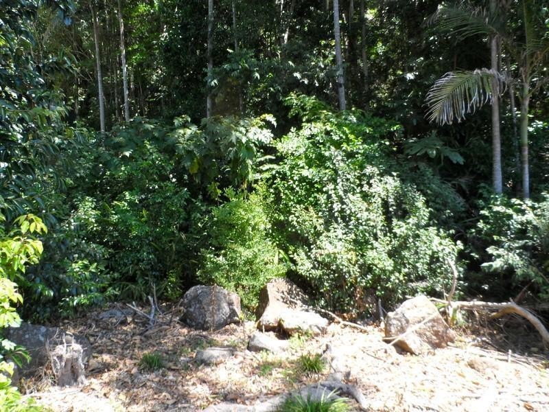 28 CAREY PARADE, Tamborine Mountain QLD 4272