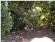 28 CAREY PARADE, Tamborine Mountain QLD 4272