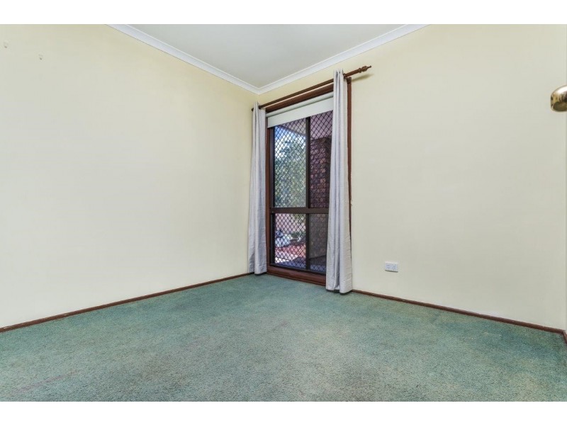 41 Balcara Avenue, Carseldine QLD 4034