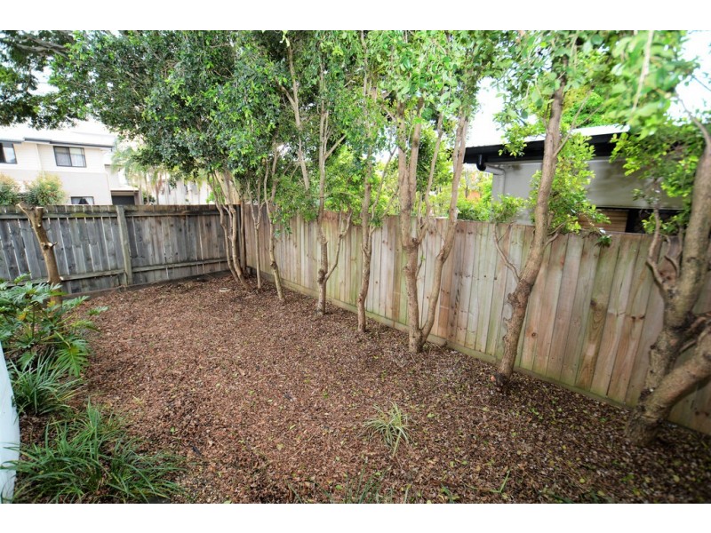 31 Zenith Avenue, Chermside QLD 4032