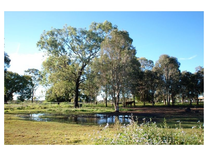 24 Weyers Road, Nudgee QLD 4014