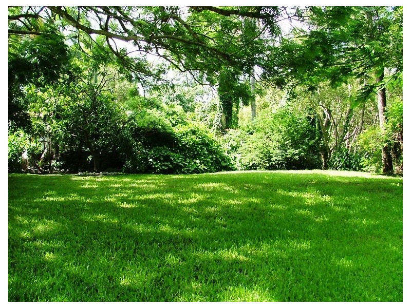 54 Beerwah Street, Deagon QLD 4017