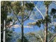25 NORTH RD, Lower Beechmont QLD 4211