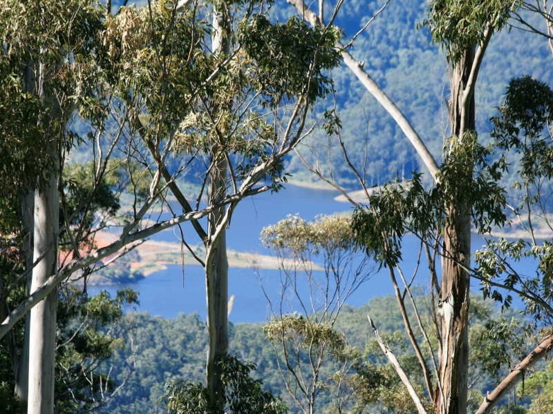 25 NORTH RD, Lower Beechmont QLD 4211