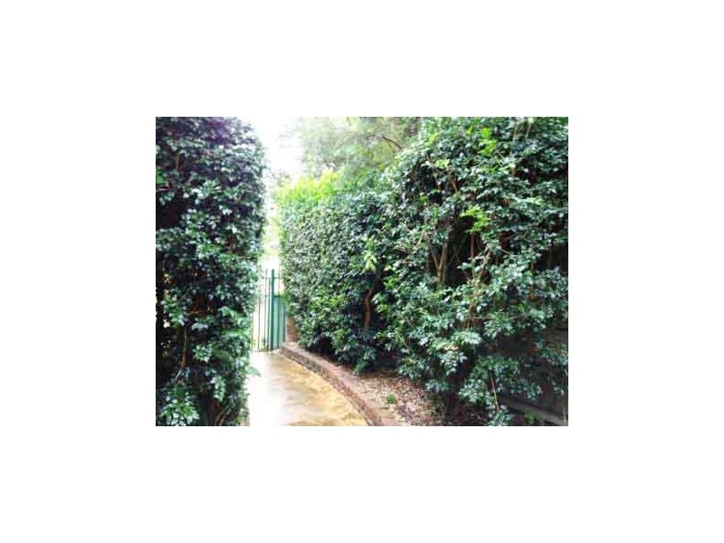 Shailer Park QLD 4128