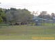 16 Gallagher Terrace, Kedron QLD 4031