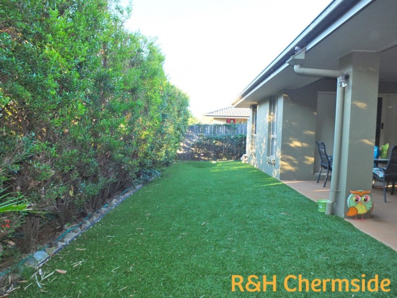 5 Conlan St, Nudgee QLD 4014