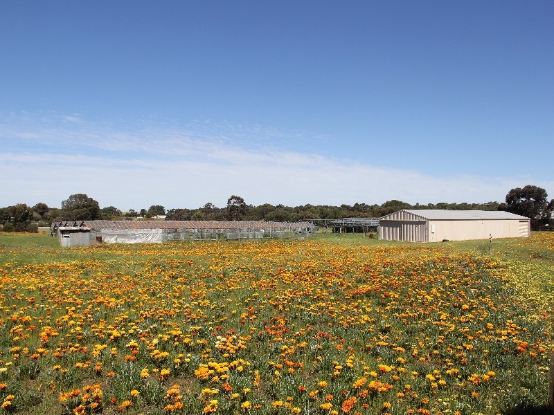 81 Tooma Road, Murray Bridge SA 5253