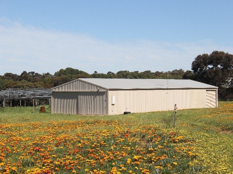 81 Tooma Road, Murray Bridge SA 5253