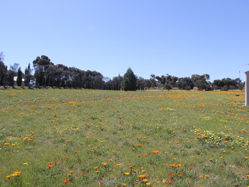 81 Tooma Road, Murray Bridge SA 5253