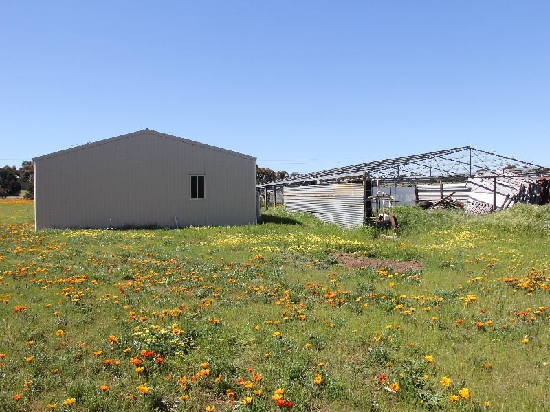 81 Tooma Road, Murray Bridge SA 5253