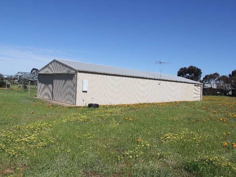 81 Tooma Road, Murray Bridge SA 5253