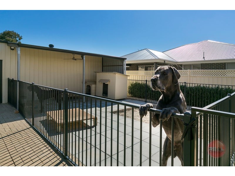 4 Pildappa Avenue, Park Holme SA 5043
