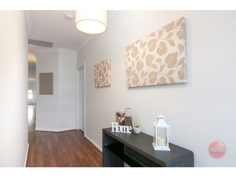 4 Regan Avenue, Morphettville SA 5043