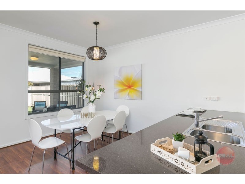 4 Regan Avenue, Morphettville SA 5043