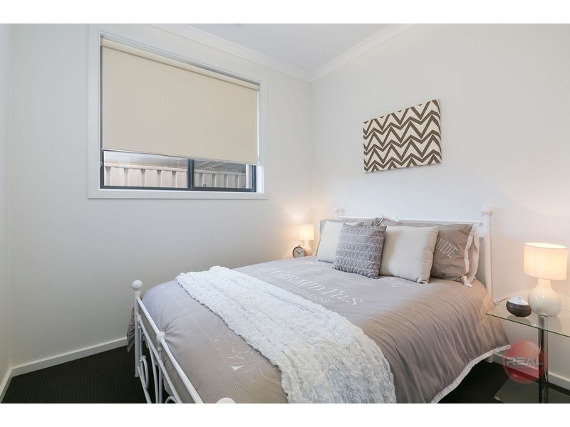 4 Regan Avenue, Morphettville SA 5043