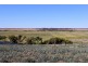 1901 Jervois Road, Woods Point SA 5253