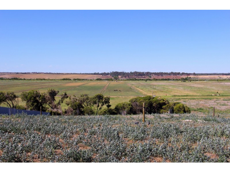 1901 Jervois Road, Woods Point SA 5253