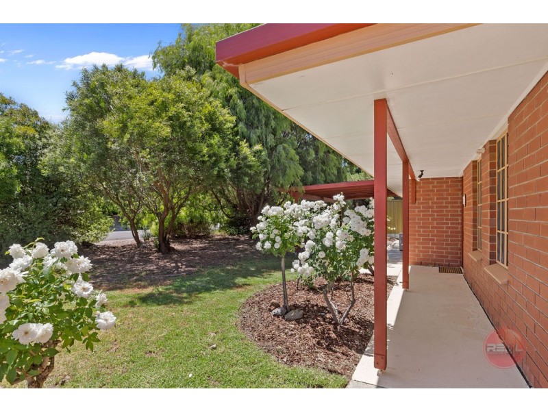 1 Abberton Street, Flagstaff Hill SA 5159