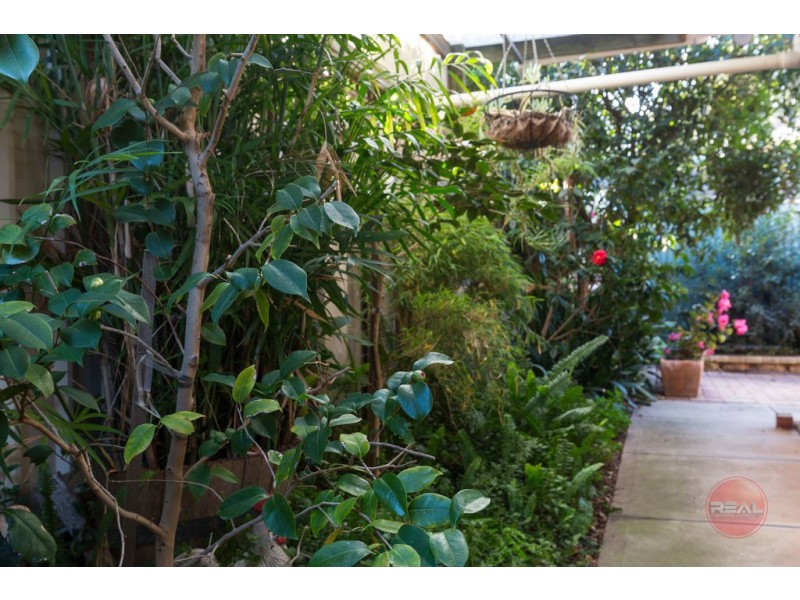 1/3 Kearnes Road, Oaklands Park SA 5046