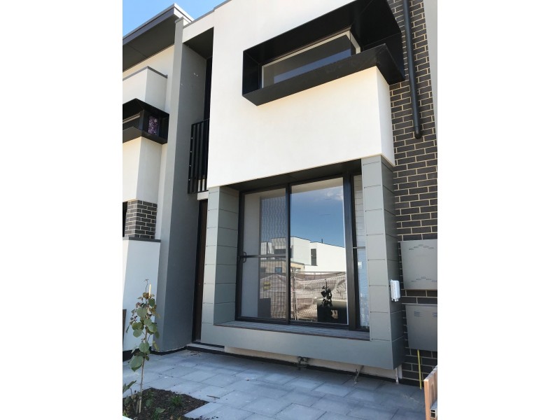 16 Symon Lane, West Lakes SA 5021