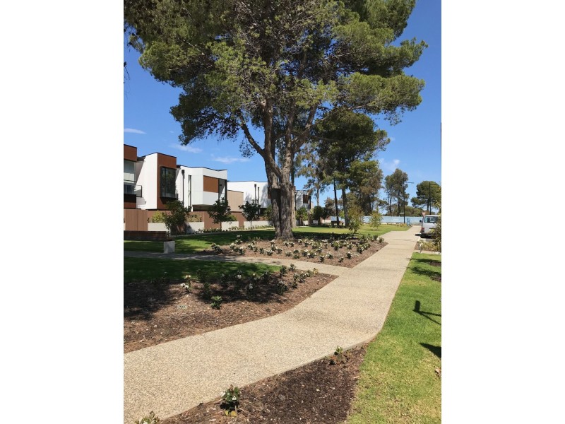 16 Symon Lane, West Lakes SA 5021