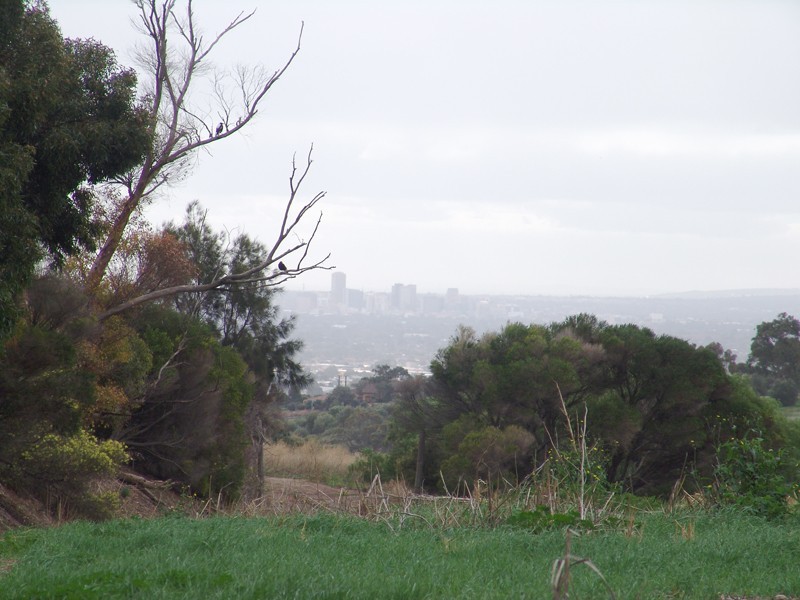 1525 Main South Road, O’halloran Hill SA 5158