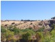 Lot 53 Woodend Road, Sheidow Park SA 5158