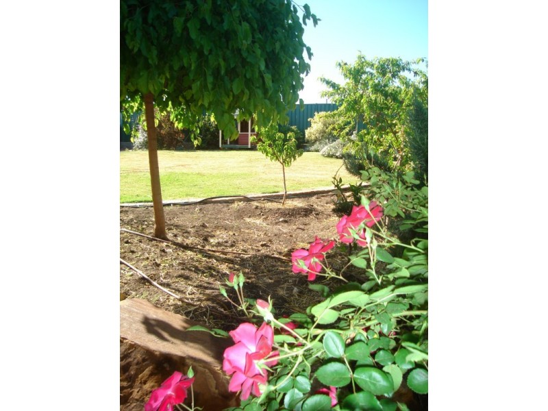 133 Murray Road, Port Noarlunga SA 5167