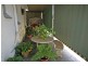 18 Eton Avenue, Warradale SA 5046