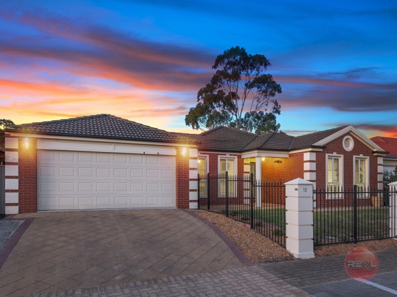 12 Newberry Avenue (Coventry Gardens Estate), Morphettville SA 5043