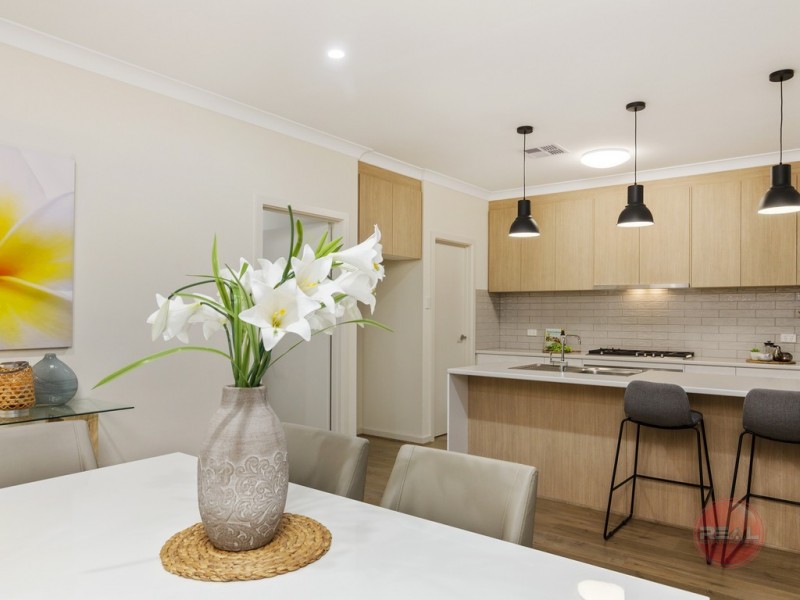 3a Wilcox Avenue, Morphettville SA 5043