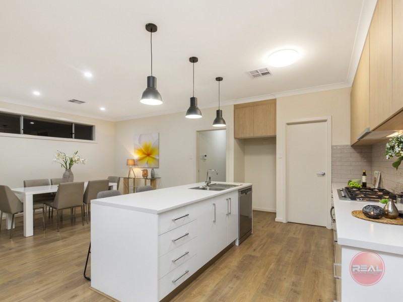 3a Wilcox Avenue, Morphettville SA 5043