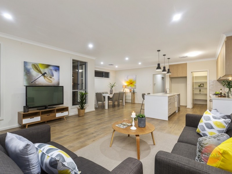 3a Wilcox Avenue, Morphettville SA 5043