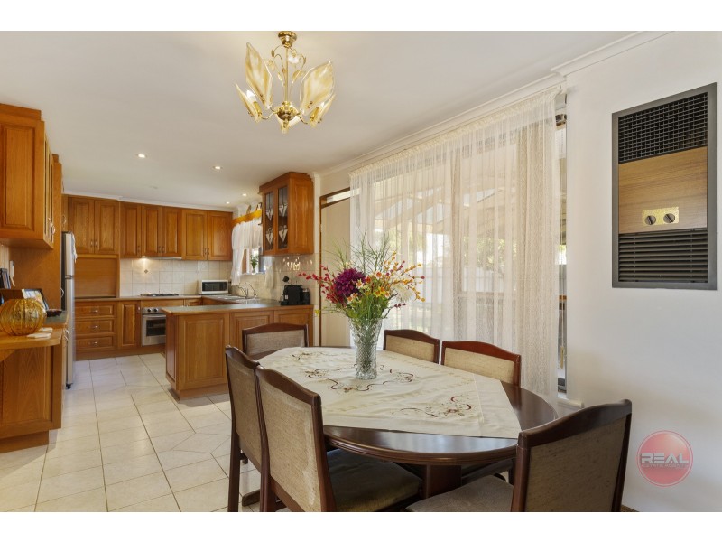 11 Quirke Avenue, Morphettville SA 5043