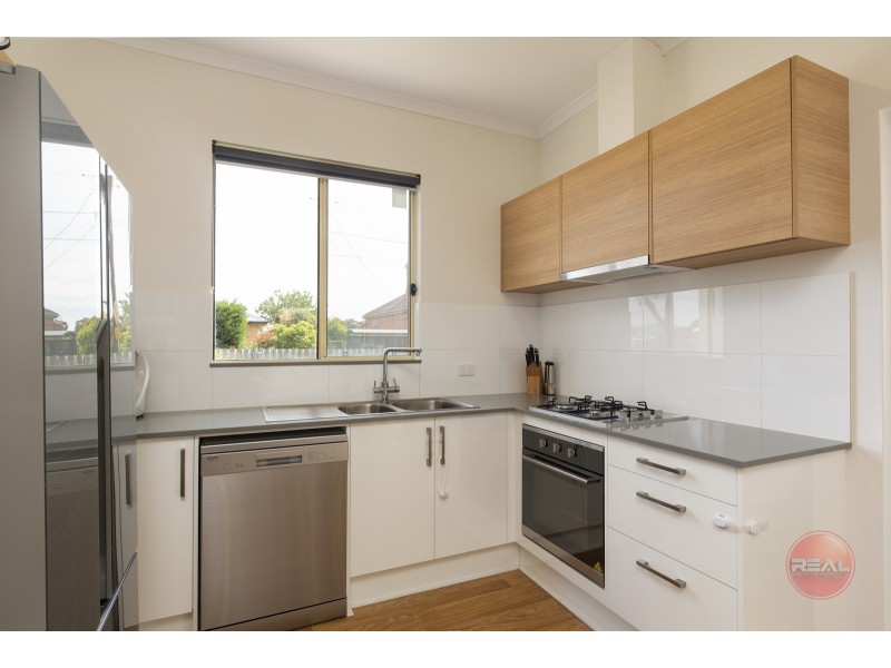 53 Maxwell Avenue, Edwardstown SA 5039