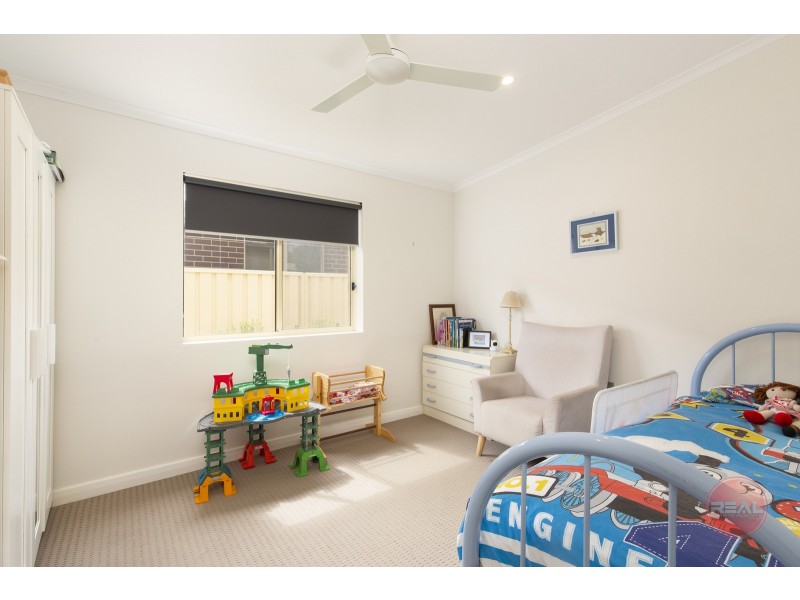 53 Maxwell Avenue, Edwardstown SA 5039