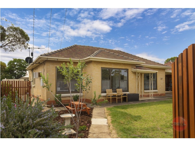 53 Maxwell Avenue, Edwardstown SA 5039