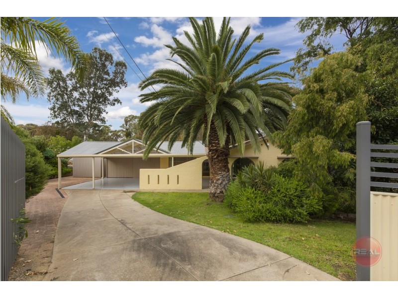 29 Turcan Court, Flagstaff Hill SA 5159