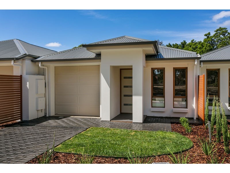 8a Everest Avenue, Morphettville SA 5043