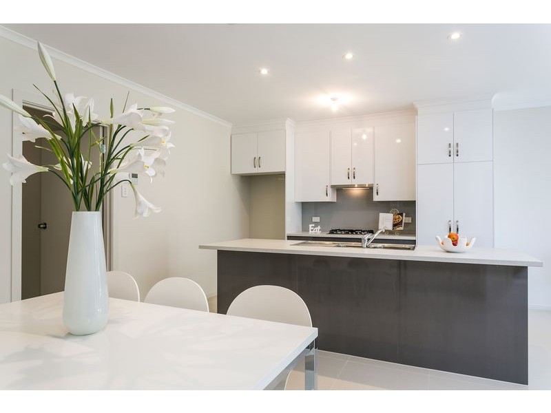 8a Everest Avenue, Morphettville SA 5043