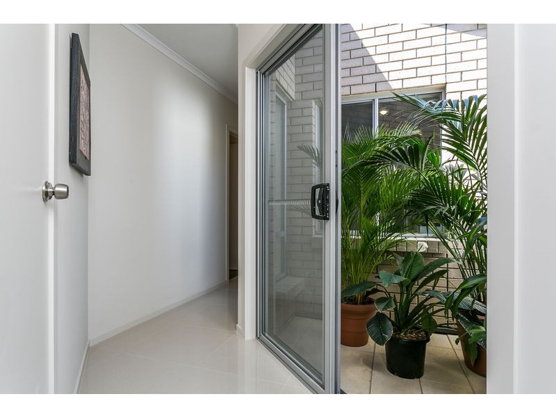 8a Everest Avenue, Morphettville SA 5043